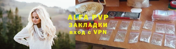 шишки Алзамай
