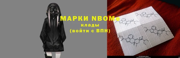 прущие грибы Алексеевка