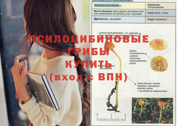кокаин премиум Алексин