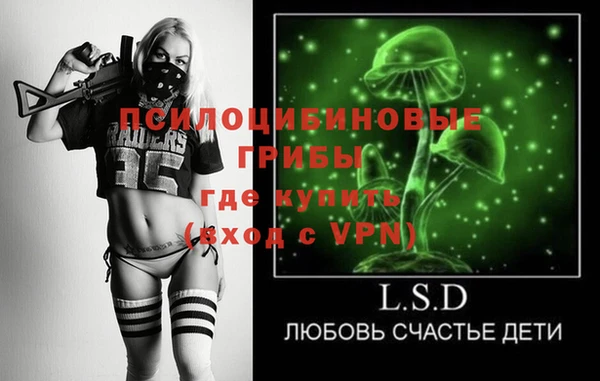 прущие грибы Алексеевка