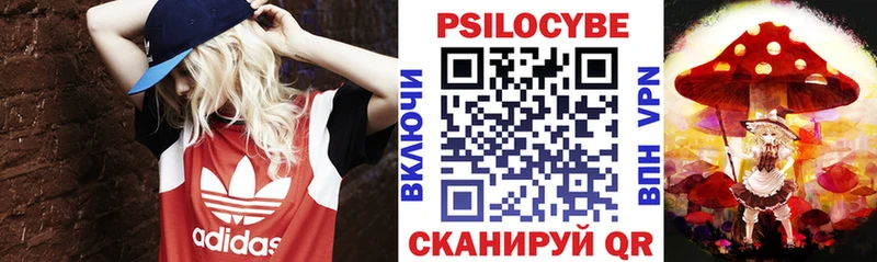даркнет наркотические препараты цена Североуральск Галлюциногенные грибы Psilocybine cubensis